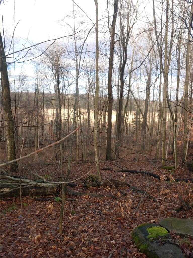 0 South Centenary Road Williamson, NY 14589 - Photo 1 of 1 Gallery Image 1