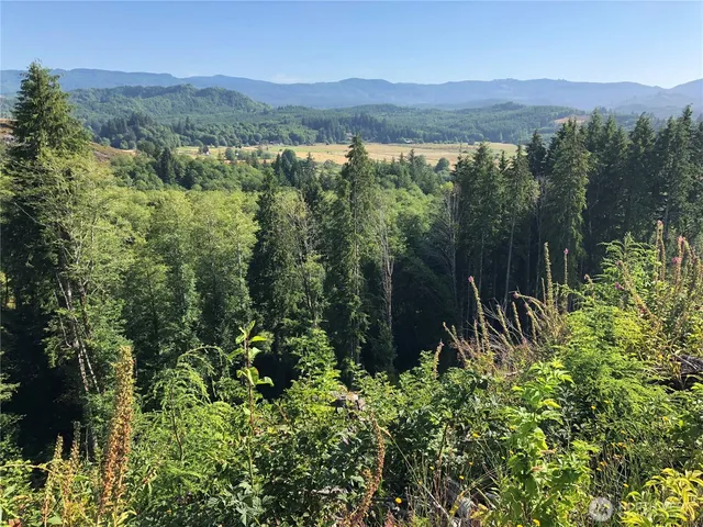 a view of a lush green forest with mountains in the background