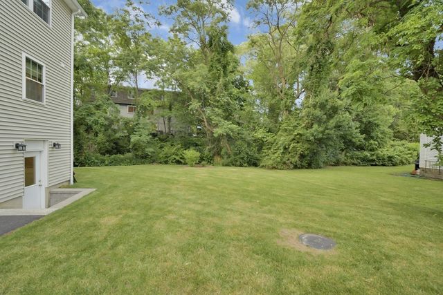 a view of a yard with a tree