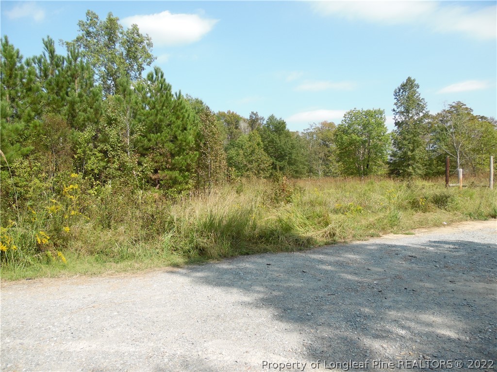 3348 Gabe Smith Road Wade, NC 28395 - Photo 6 of 7 Gallery Image 6