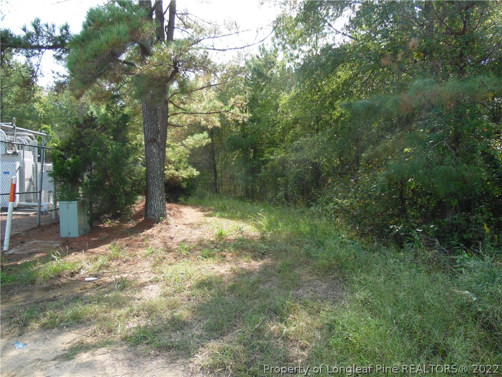 3348 Gabe Smith Road Wade, NC 28395 - Photo 7 of 7 Gallery Image 7