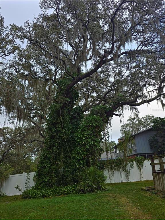 34041 Highland Road Leesburg, FL 34788 - Photo 33 of 33 a view of a yard with plants and large trees