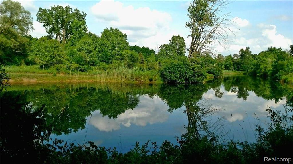 8991 Earhart Road South Lyon, MI 48178 - Photo 2 of 29 Gallery Image 2