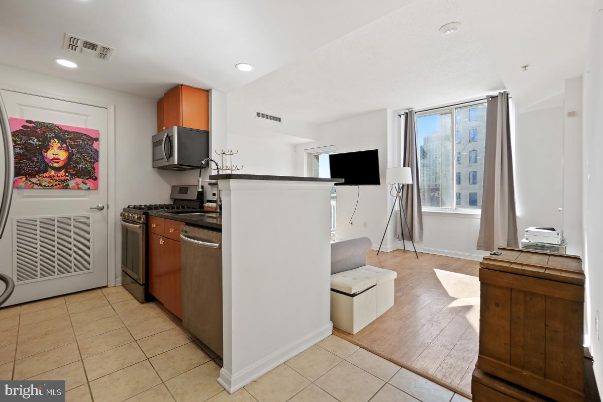 930 Wayne Avenue, Unit 404 Silver Spring, MD 20910 - Photo 4 of 47 Gallery Image 4