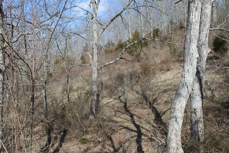 1 Nina Ridge Road Lancaster, KY 40444 - Photo 8 of 56 Photo 8