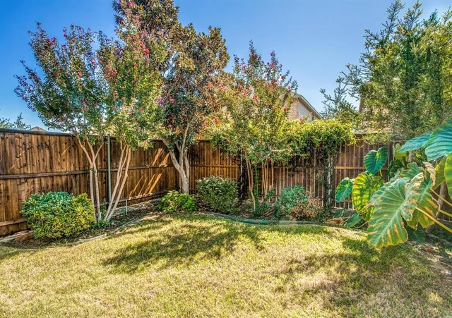 a view of a backyard with plants and large trees