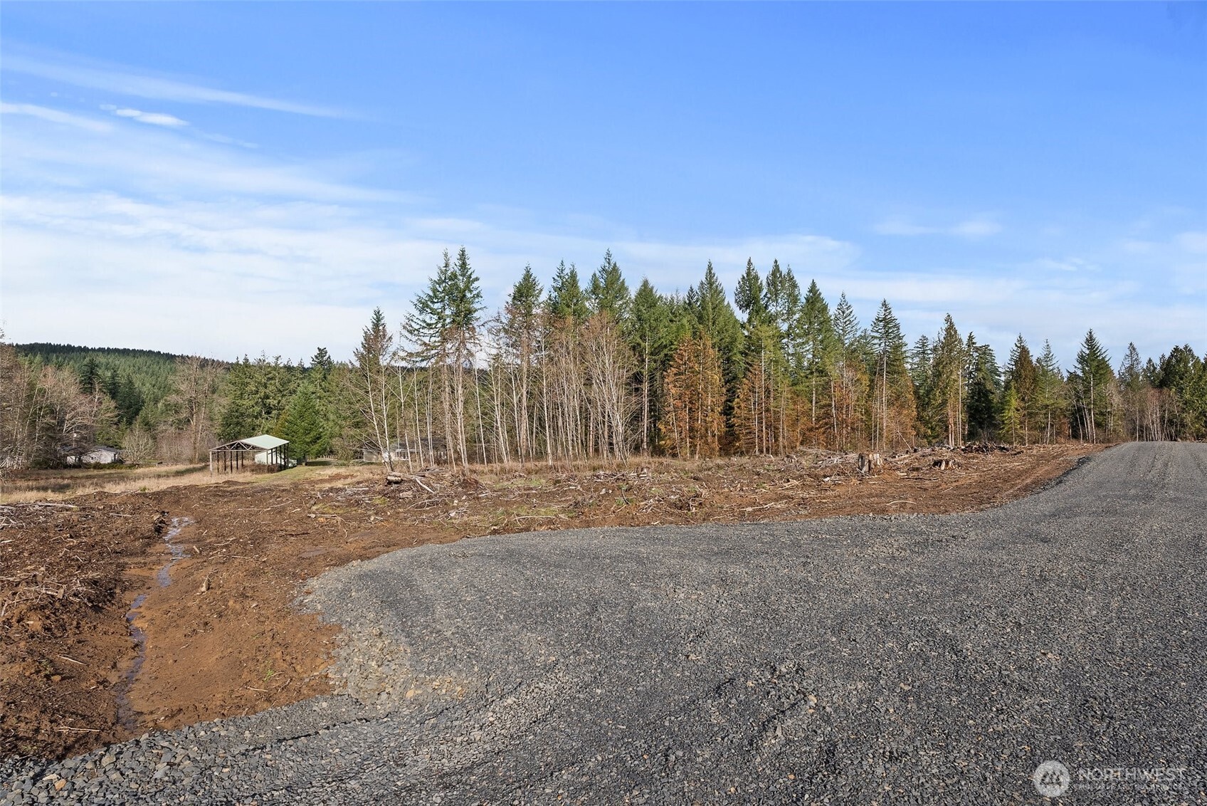 0 Little Hanaford Road, Unit B Centralia, WA 98531 - Photo 12 of 16 a view of a yard with palm tree