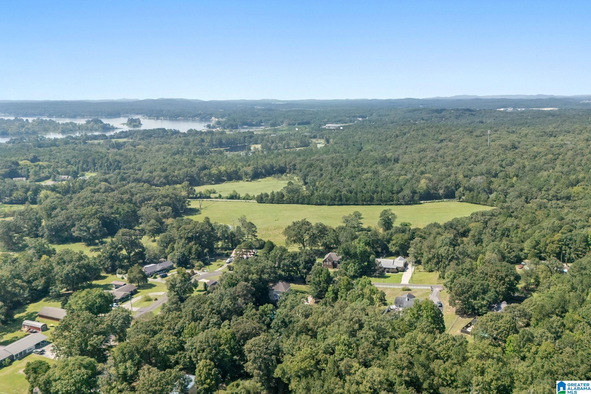 240 Lake View Circle Riverside, AL 35135 - Photo 57 of 64 Gallery Image 57