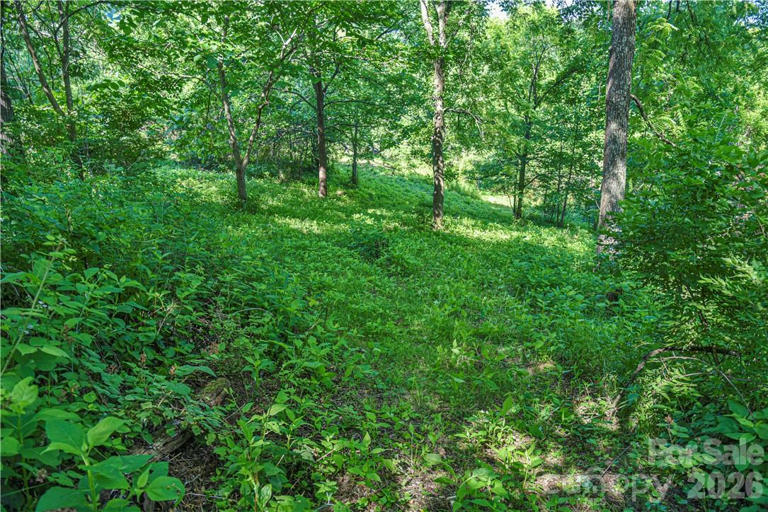 415 Weaverville Road Asheville, NC 28804 - Photo 10 of 47