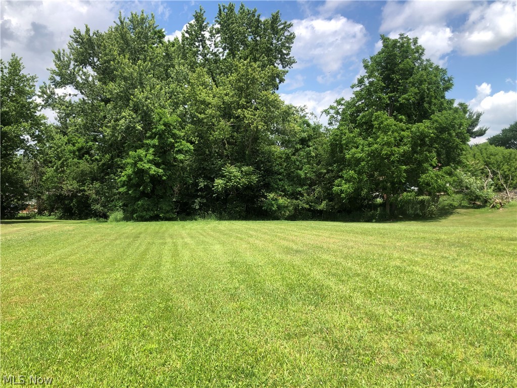 Lillian Street Southwest Canton, OH 44706 - Photo 1 of 9
