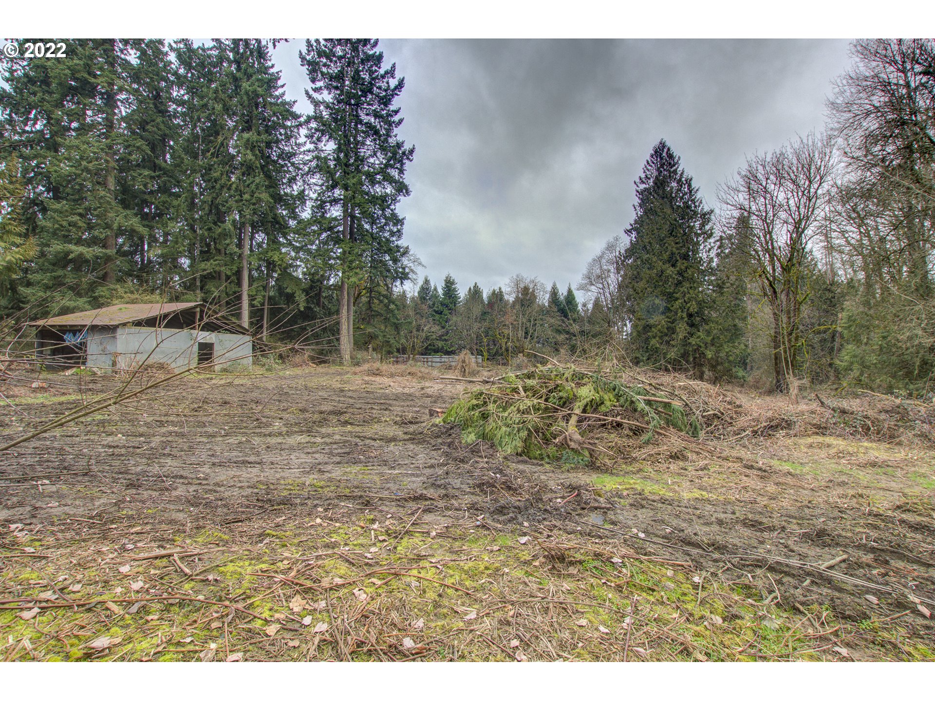 24300 Northwest Maplecrest Road Ridgefield, WA 98642 - Photo 15 of 32 a view of a outdoor space