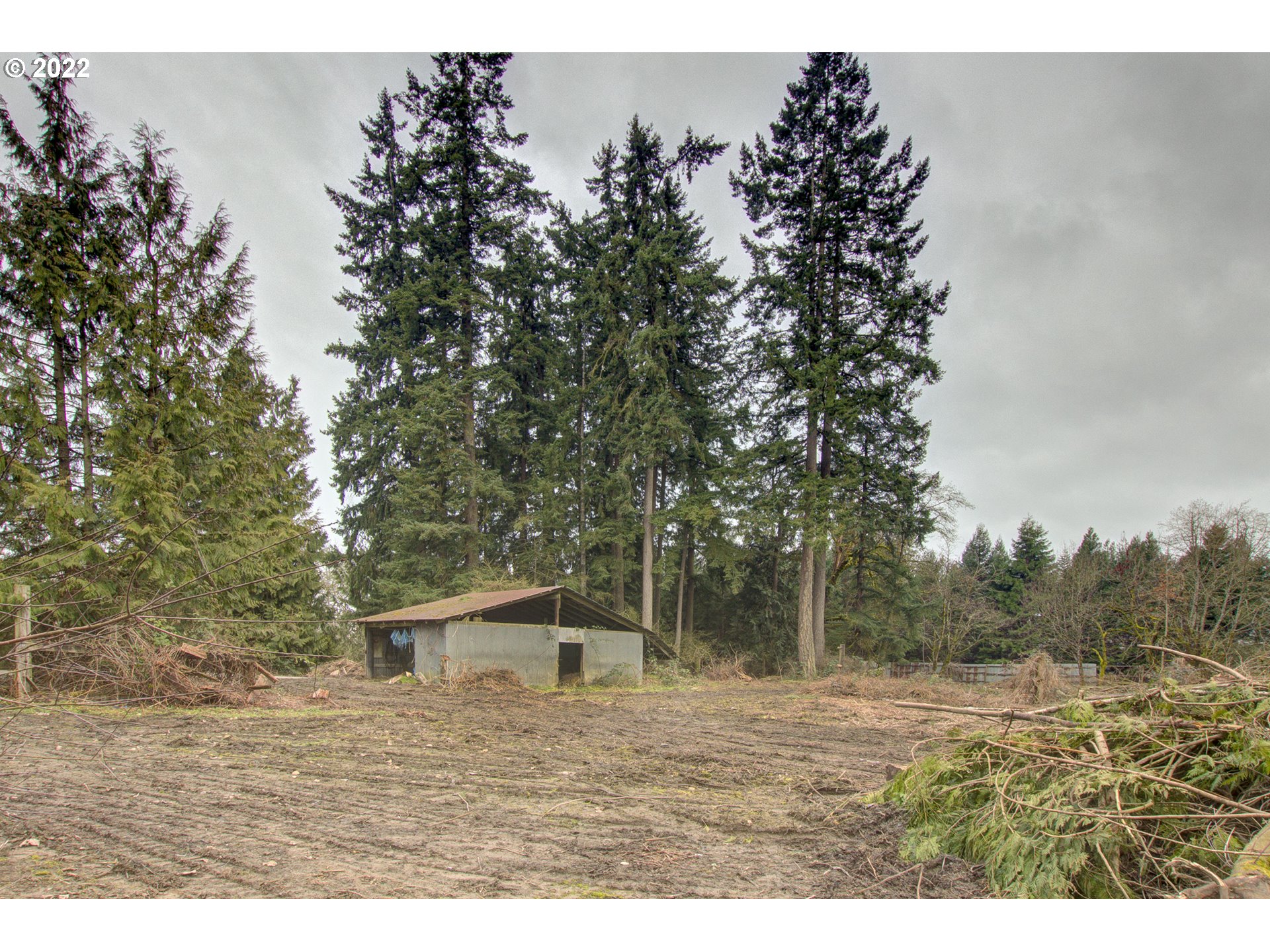 24300 Northwest Maplecrest Road Ridgefield, WA 98642 - Photo 16 of 32 a view of outdoor space and tree