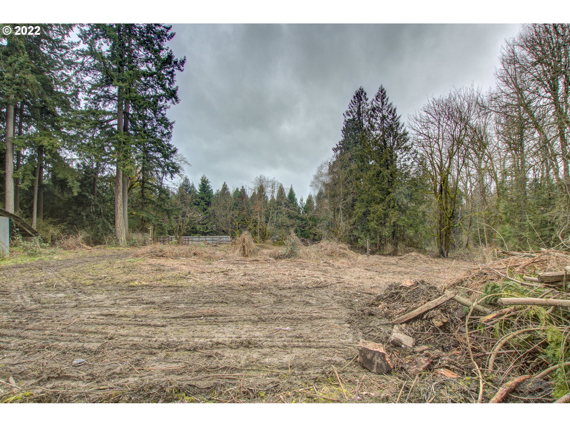 24300 Northwest Maplecrest Road Ridgefield, WA 98642 - Photo 17 of 32 a view of a yard with a tree