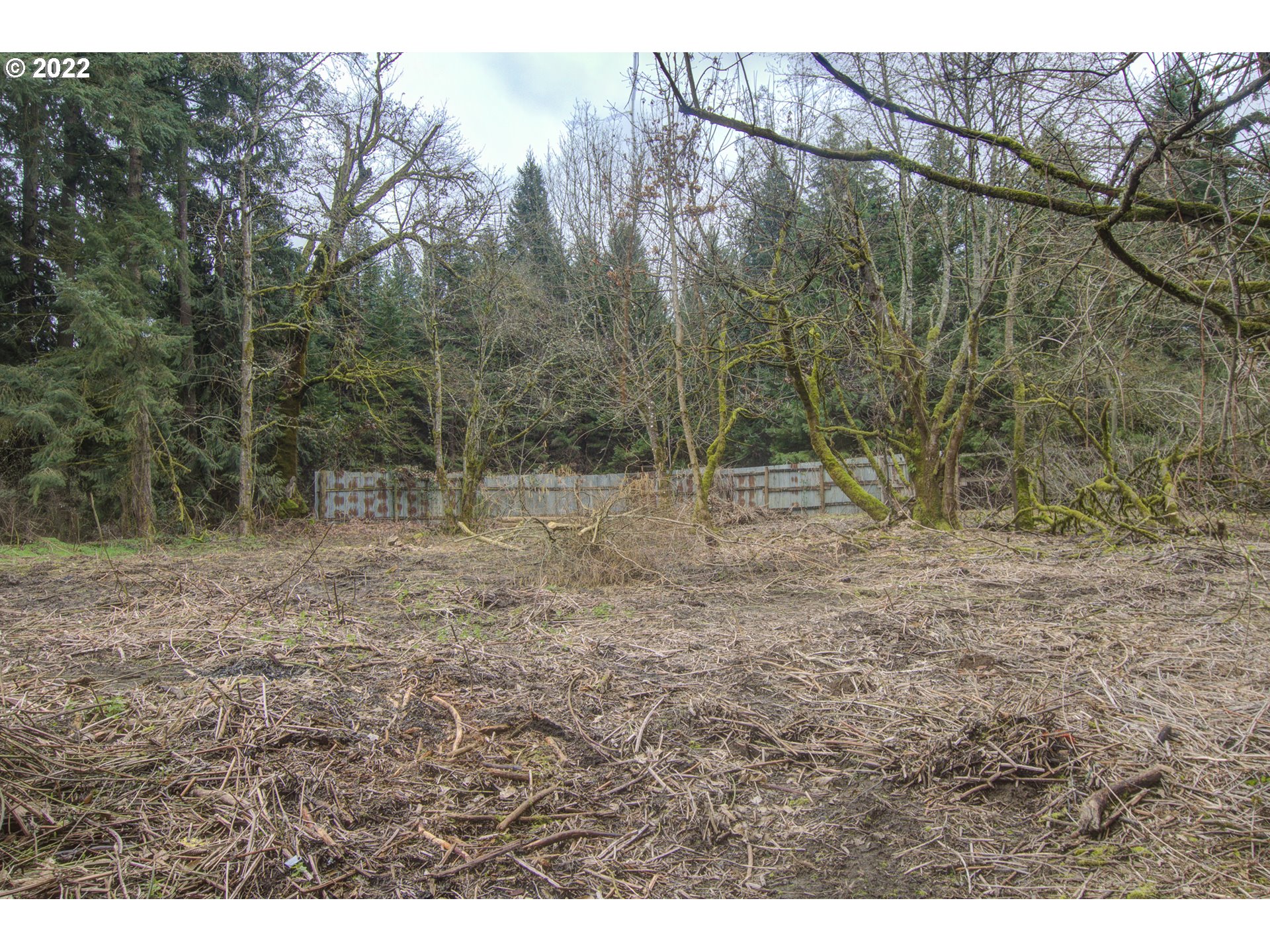 24300 Northwest Maplecrest Road Ridgefield, WA 98642 - Photo 20 of 32 a view of outdoor space with trees