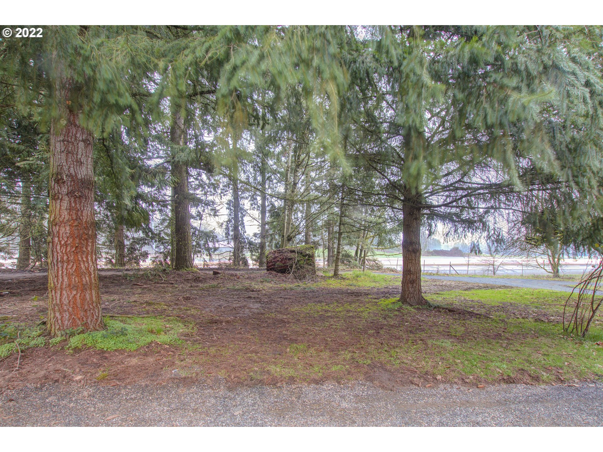 24300 Northwest Maplecrest Road Ridgefield, WA 98642 - Photo 3 of 32 a view of a yard with a tree