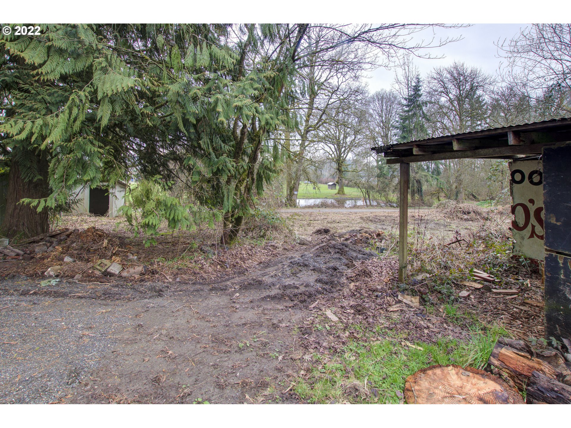 24300 Northwest Maplecrest Road Ridgefield, WA 98642 - Photo 5 of 32 a view of a yard with a tree