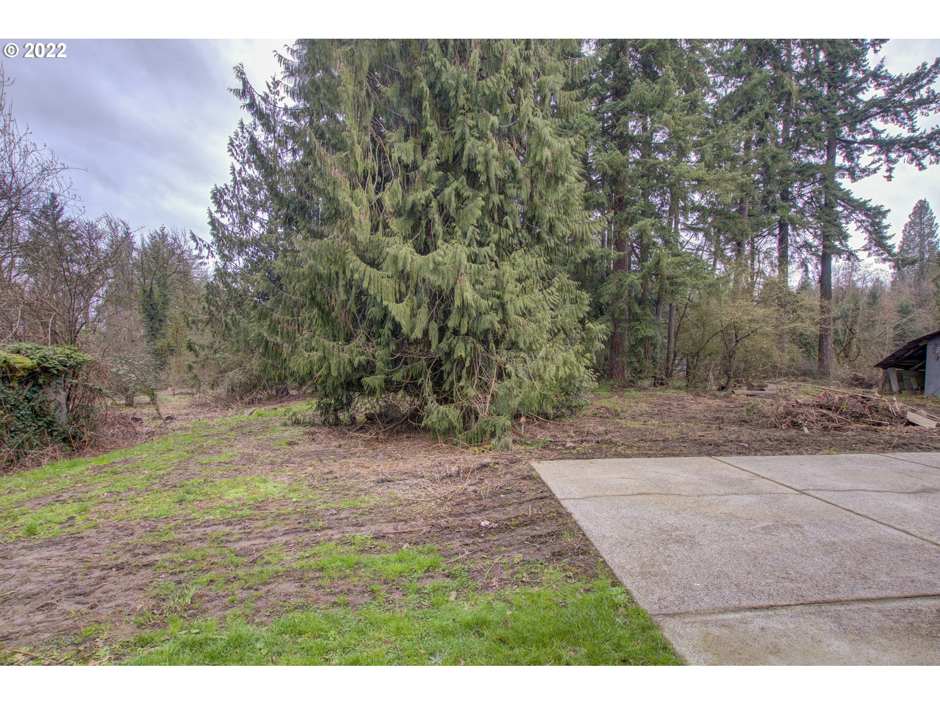 24300 Northwest Maplecrest Road Ridgefield, WA 98642 - Photo 6 of 32 a view of a yard with a tree