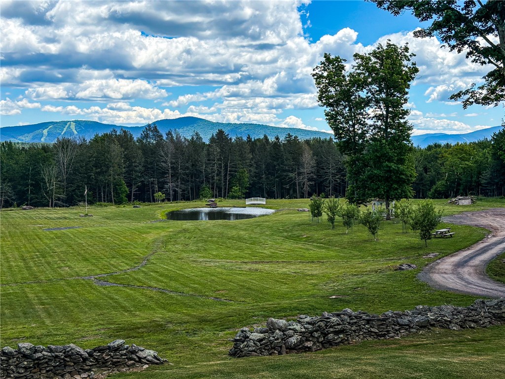 89 Zinno Road Windham, NY 12496 - Photo 42 of 50