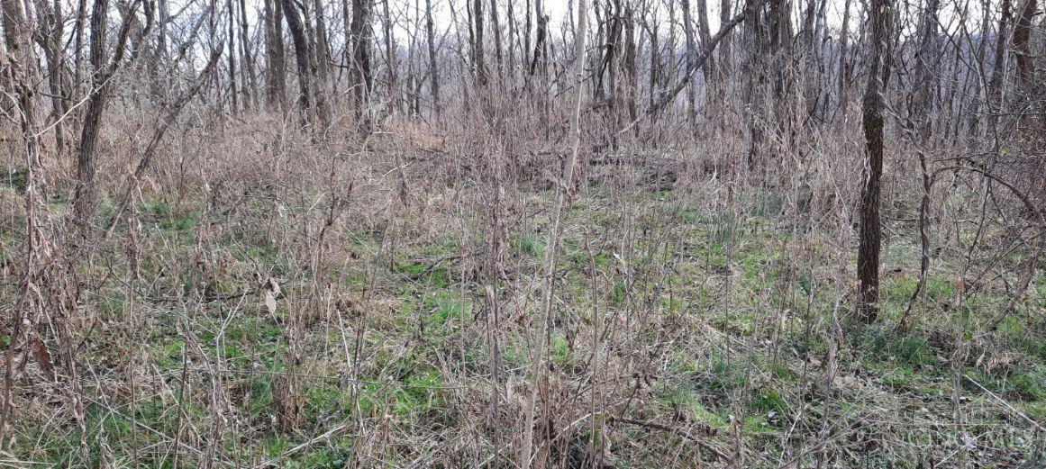 2.38-ac Myers Hollow Road Ripley, OH 45167 - Photo 3 of 11