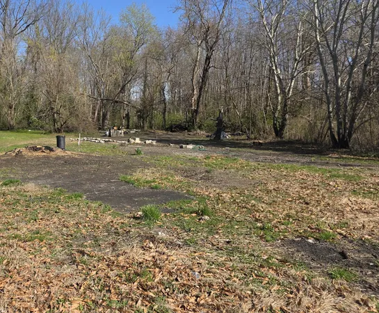 a view of a yard with a tree