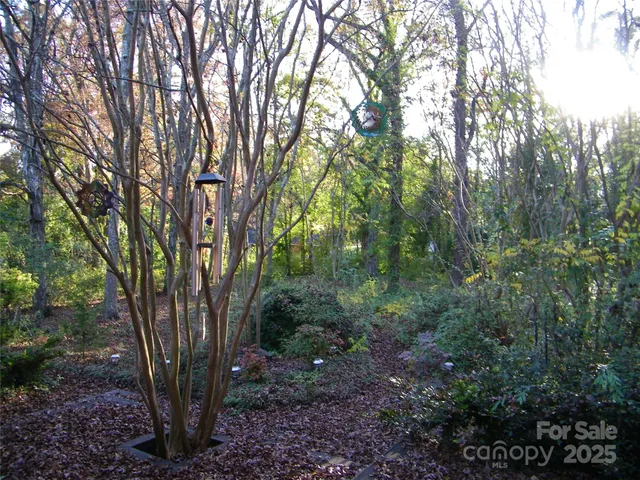 a view of a backyard with garden