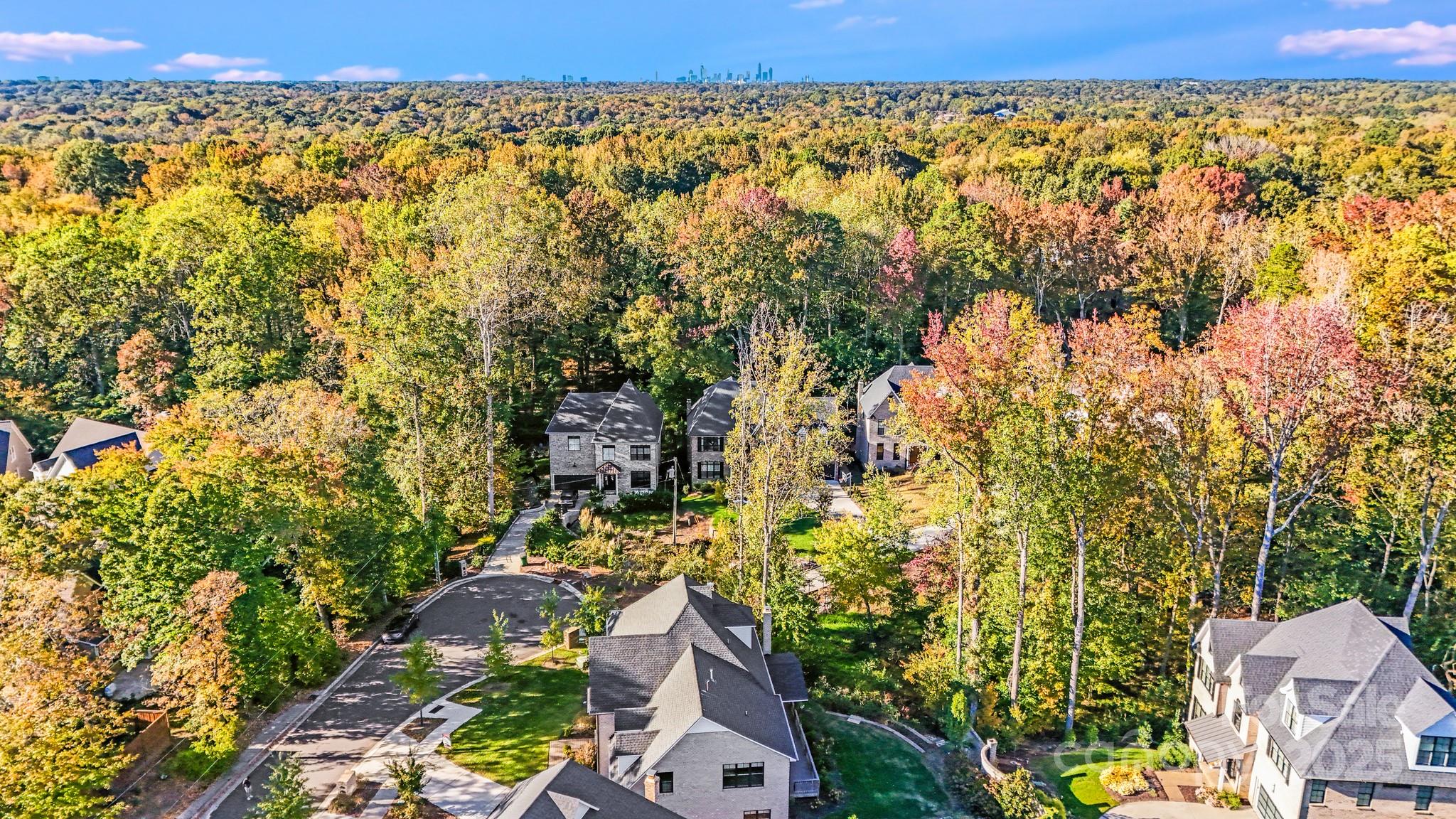 6541 Gardner Lane Charlotte, NC 28270 - Photo 47 of 47 view of city and mountain