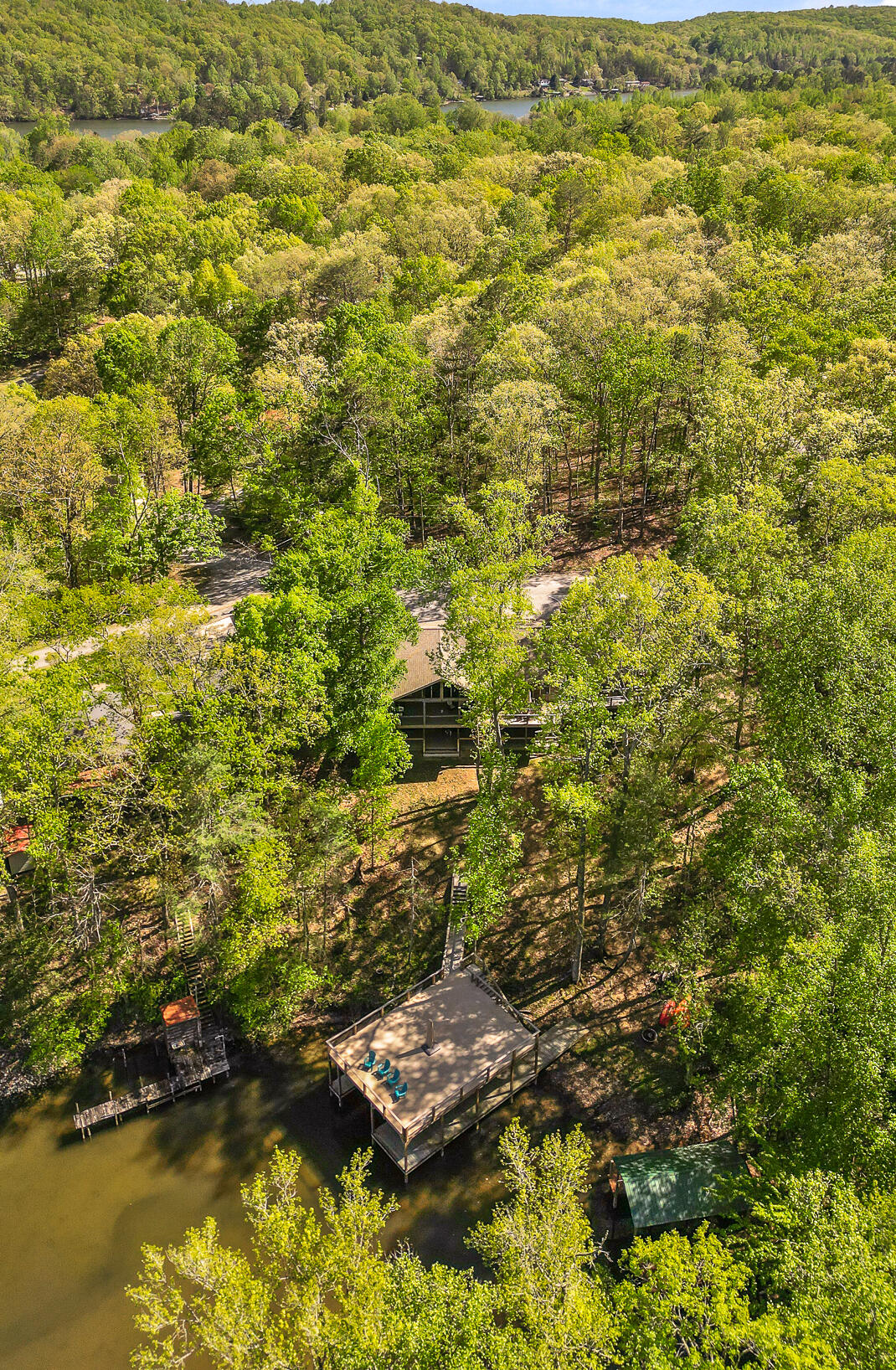 626 Watts Dr Spring Spring City, TN 37381 - Photo 41 of 44 Aerial View