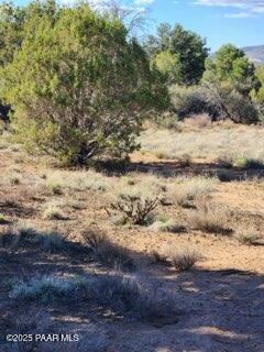 0 West Young Road Prescott, AZ 86305 - Photo 4 of 12 1000002097