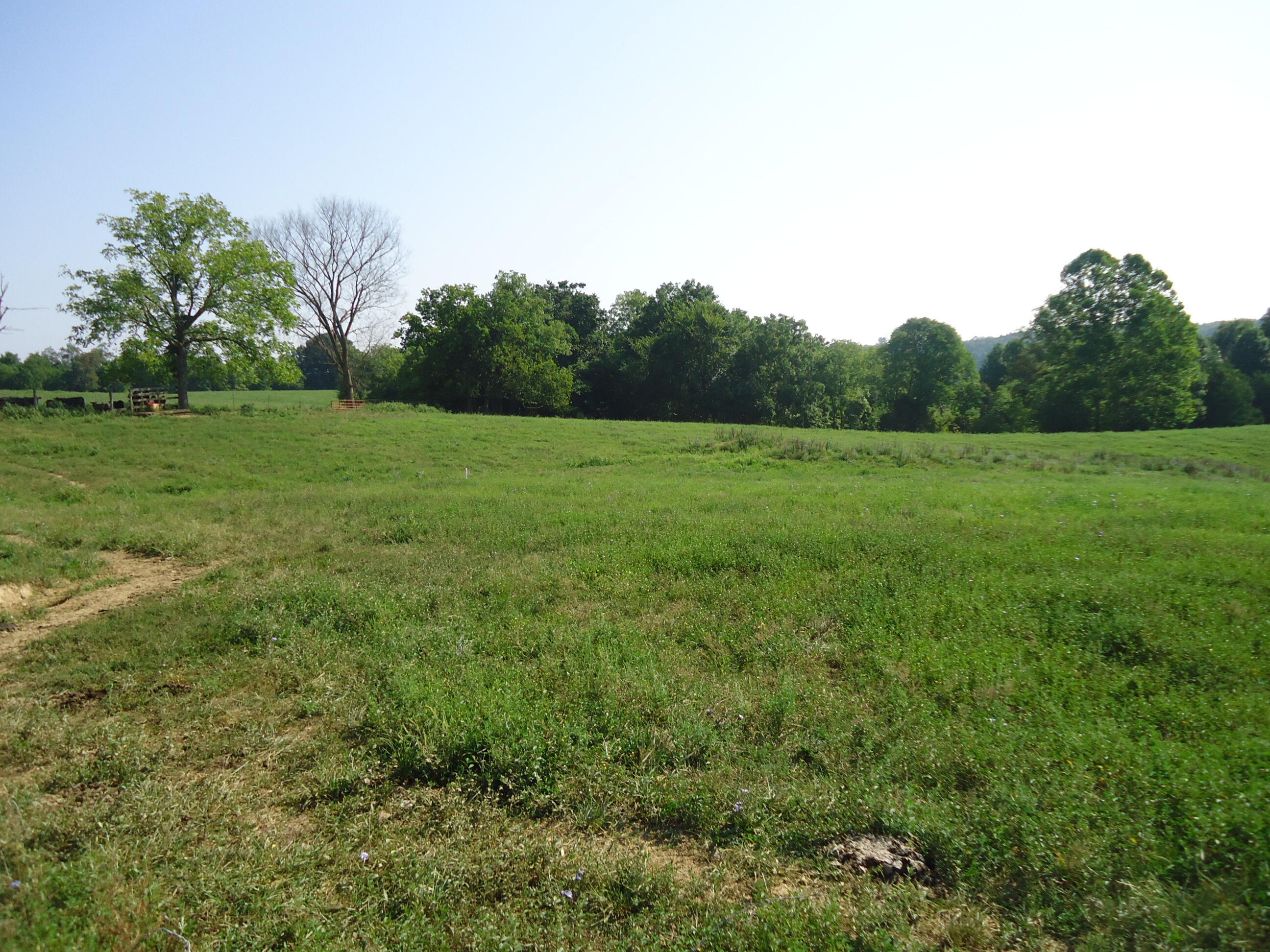 1 Sugar Creek Road Lancaster, KY 40444 - Photo 8 of 36 DSC01866