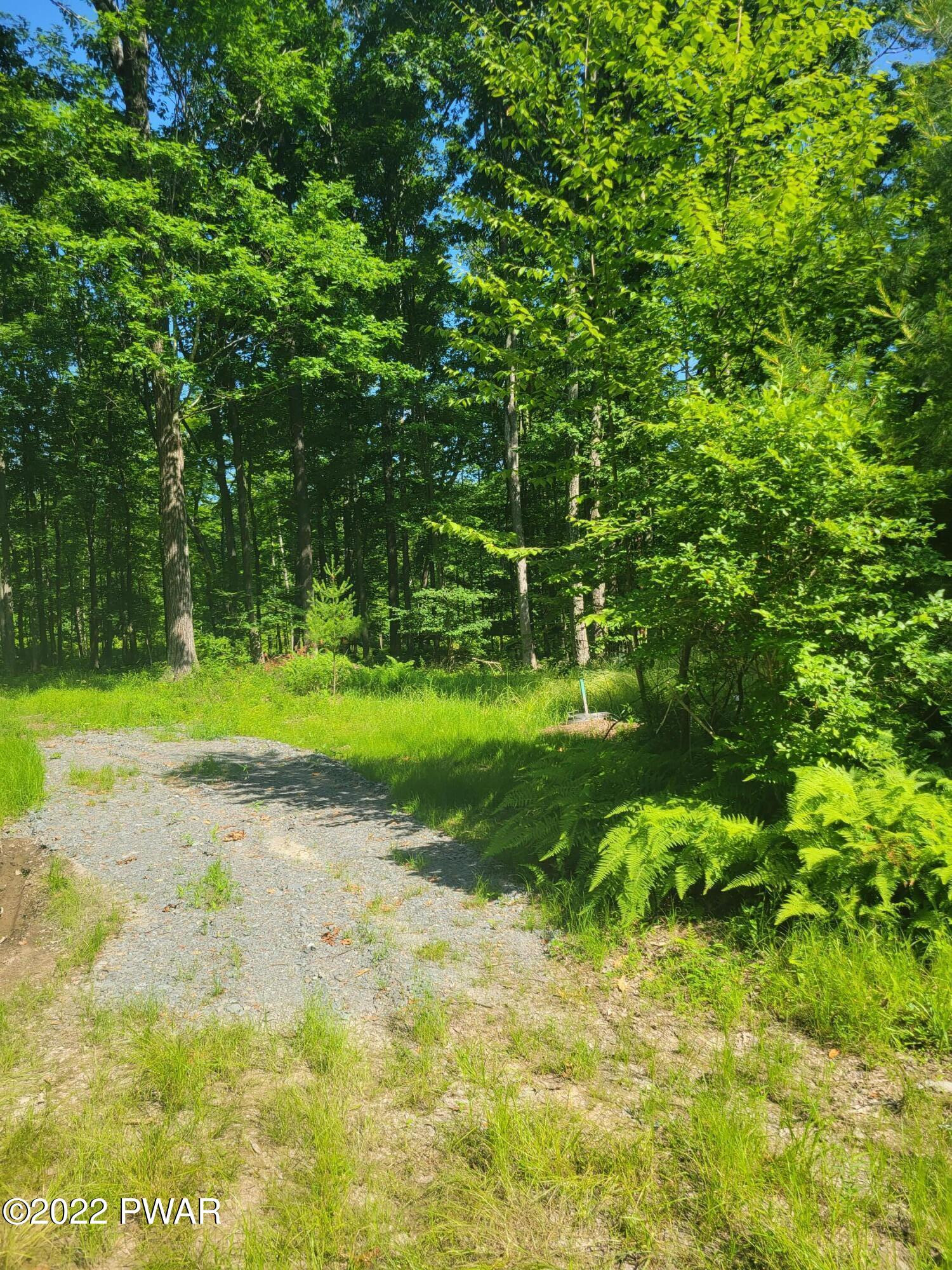 Hoadleys Road Honesdale, PA 18431 - Photo 6 of 8