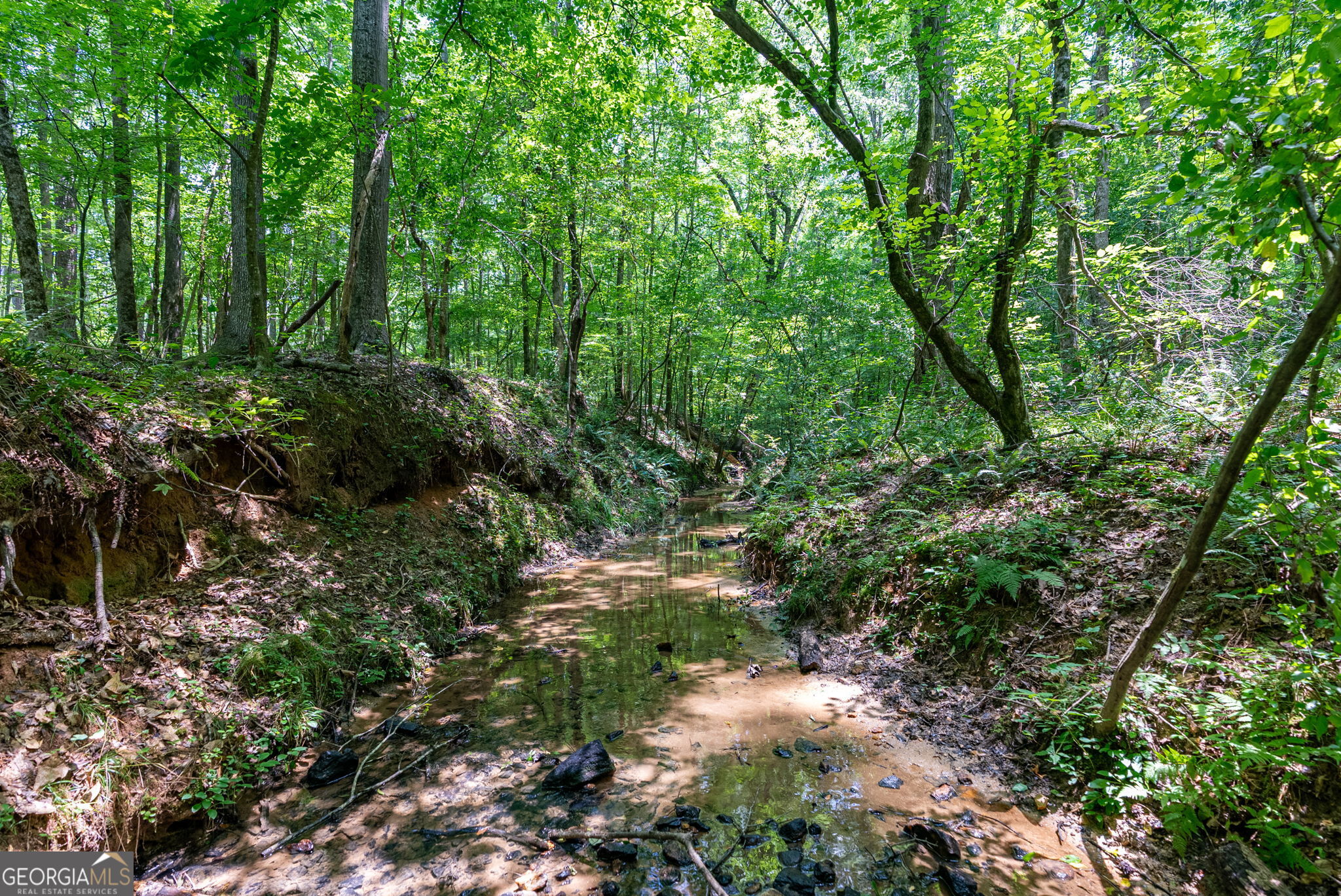 543 Faust Farm Road Crawford, GA 30630 - Photo 14 of 22