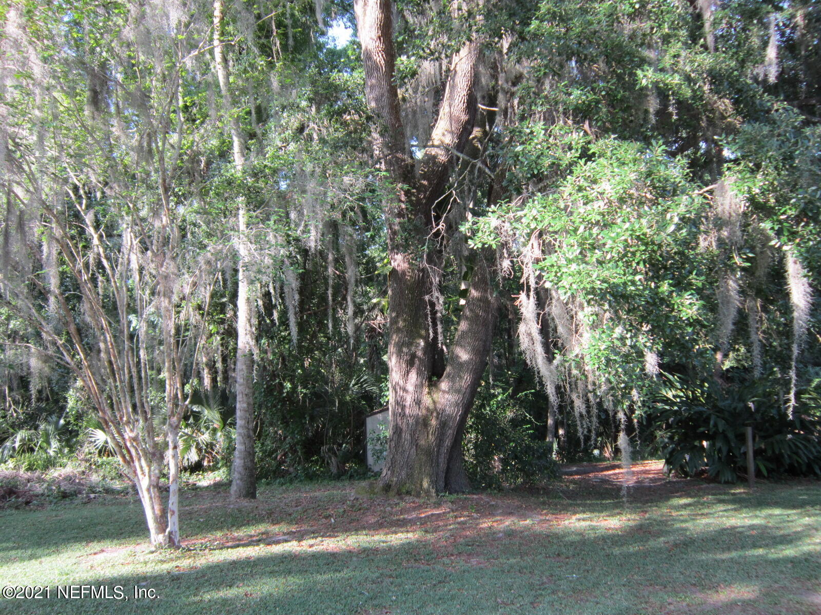 140 Weerts Road San Mateo, FL 32187 - Photo 9 of 30 IMG_0666