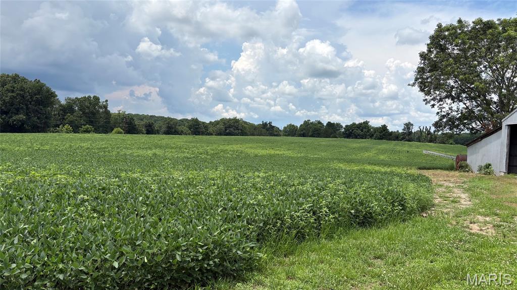 920 South Poplar Camp Road Makanda, IL 62958 - Photo 50 of 53
