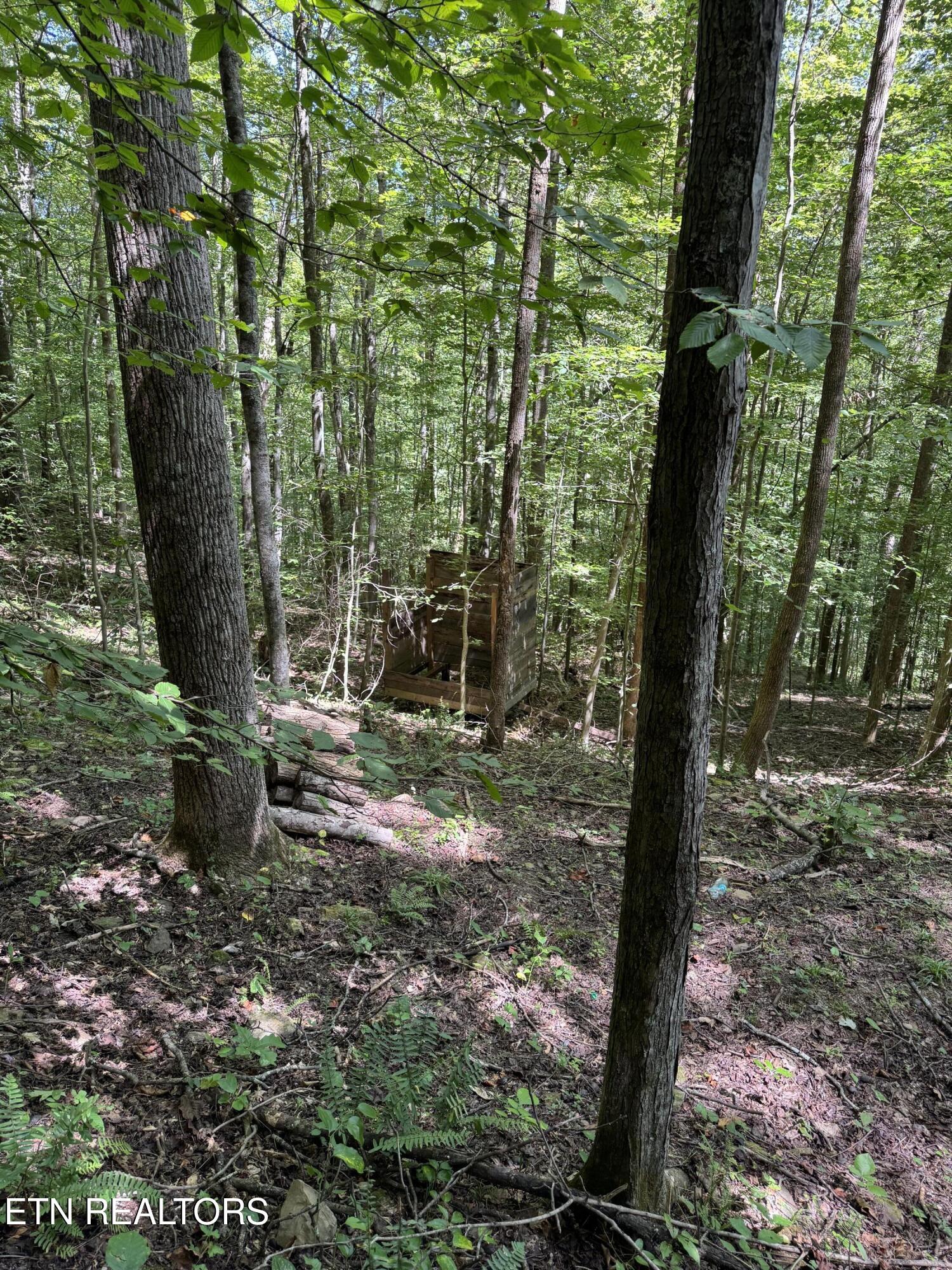 691-695 Blue Rdg Church Road Pineville, KY 40977 - Photo 45 of 53 IMG_7461