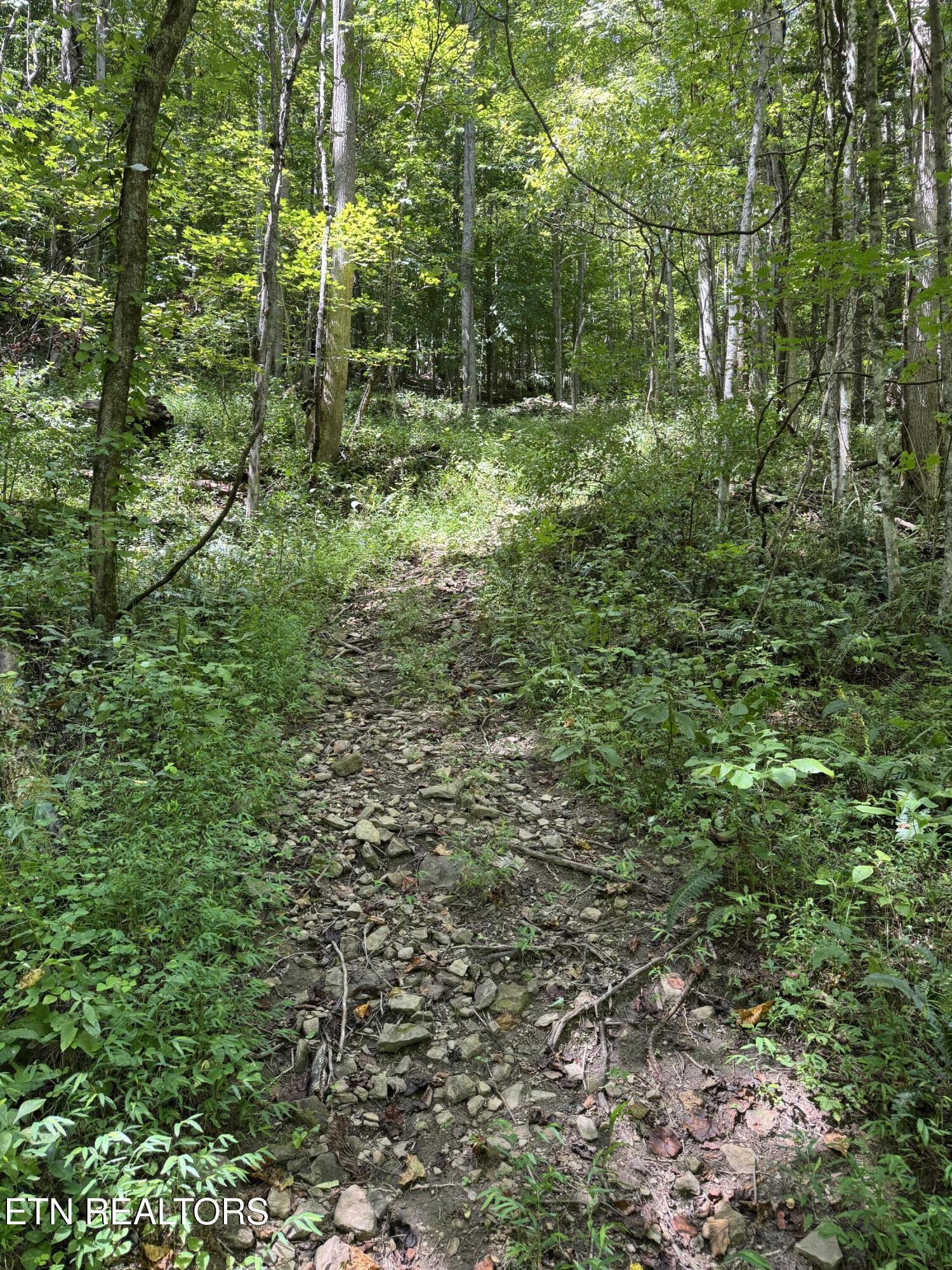 691-695 Blue Rdg Church Road Pineville, KY 40977 - Photo 47 of 53 IMG_7453