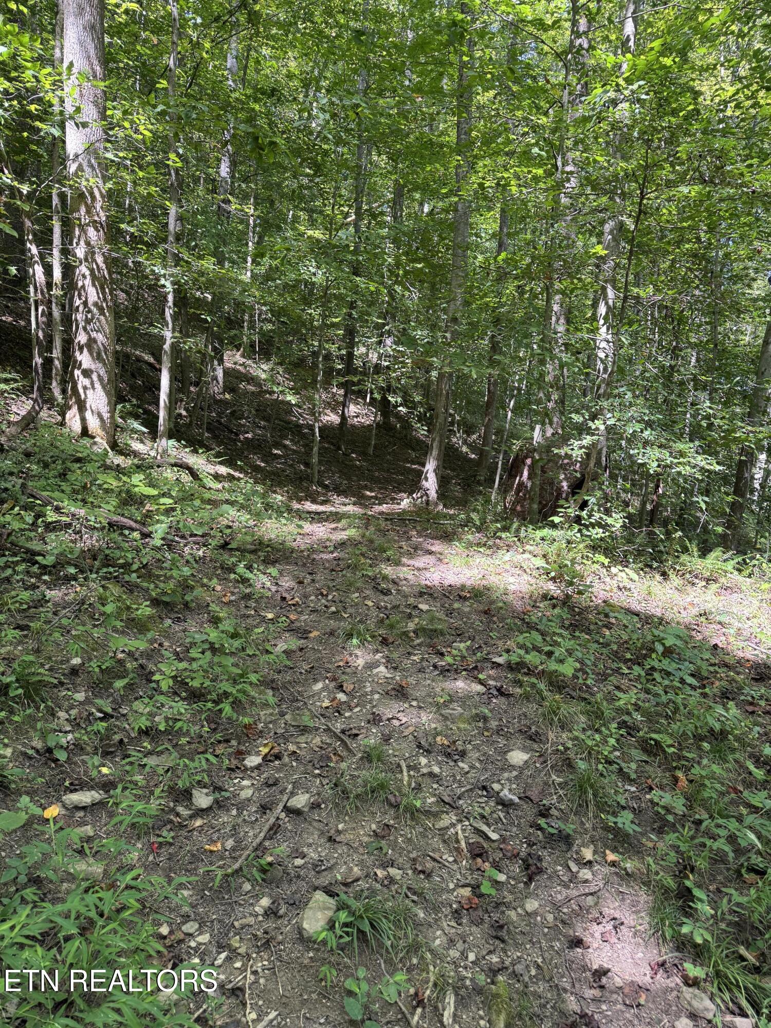 691-695 Blue Rdg Church Road Pineville, KY 40977 - Photo 48 of 53 IMG_7454