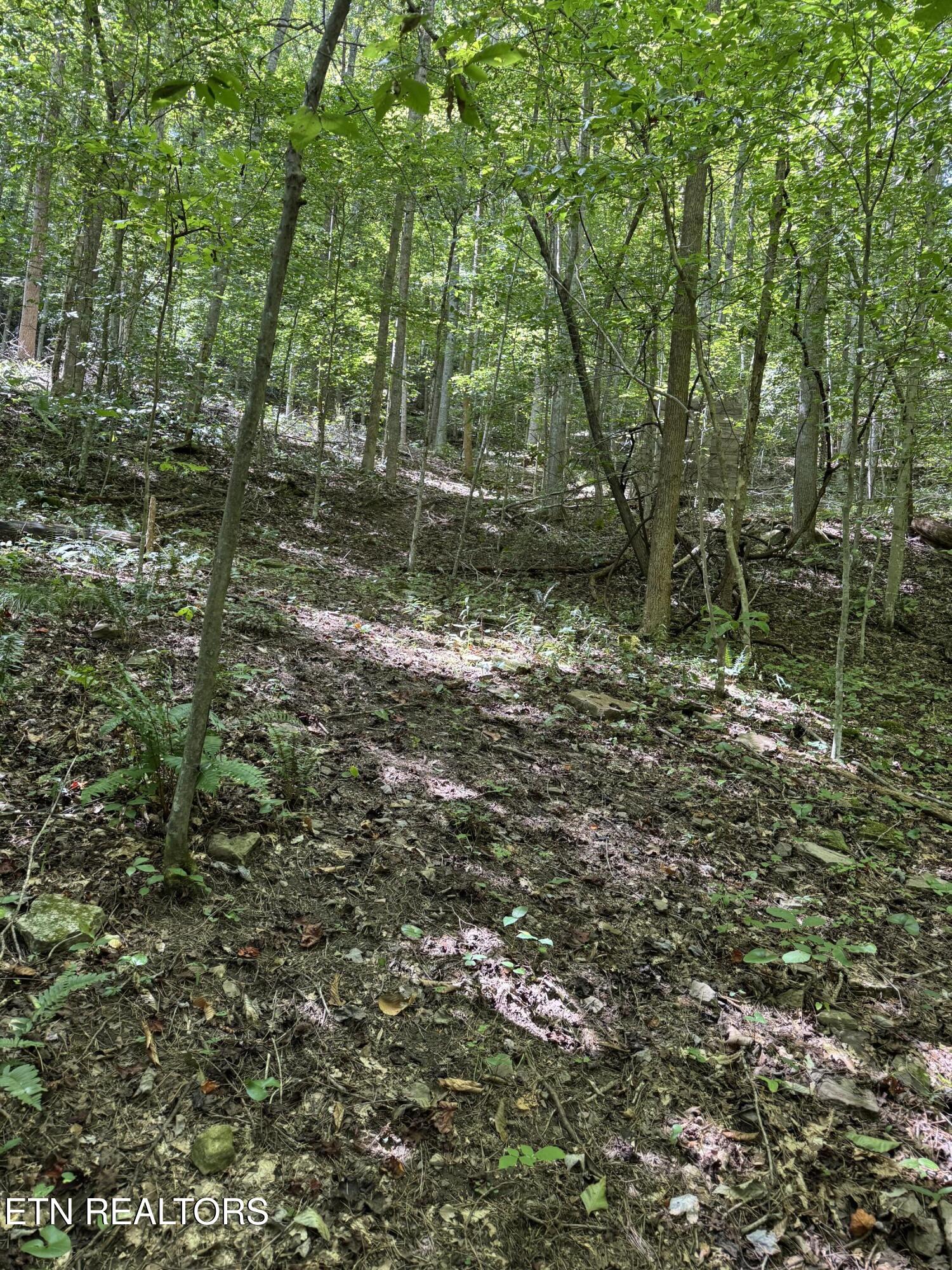 691-695 Blue Rdg Church Road Pineville, KY 40977 - Photo 50 of 53 IMG_7458