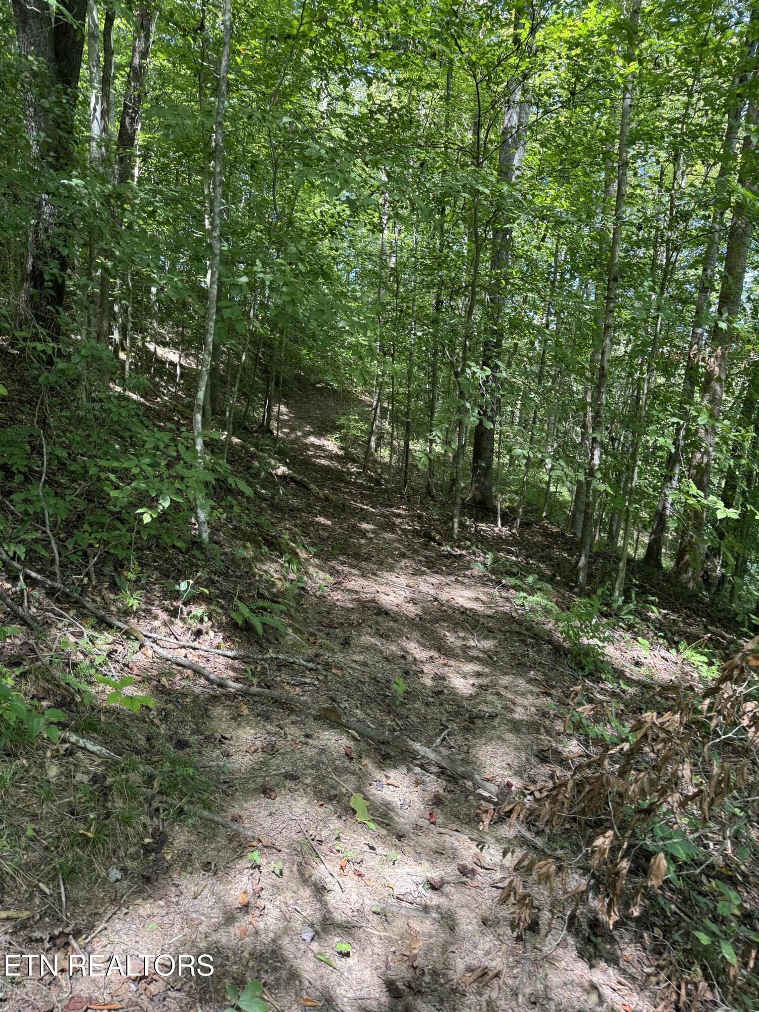 691-695 Blue Rdg Church Road Pineville, KY 40977 - Photo 51 of 53 IMG_7456