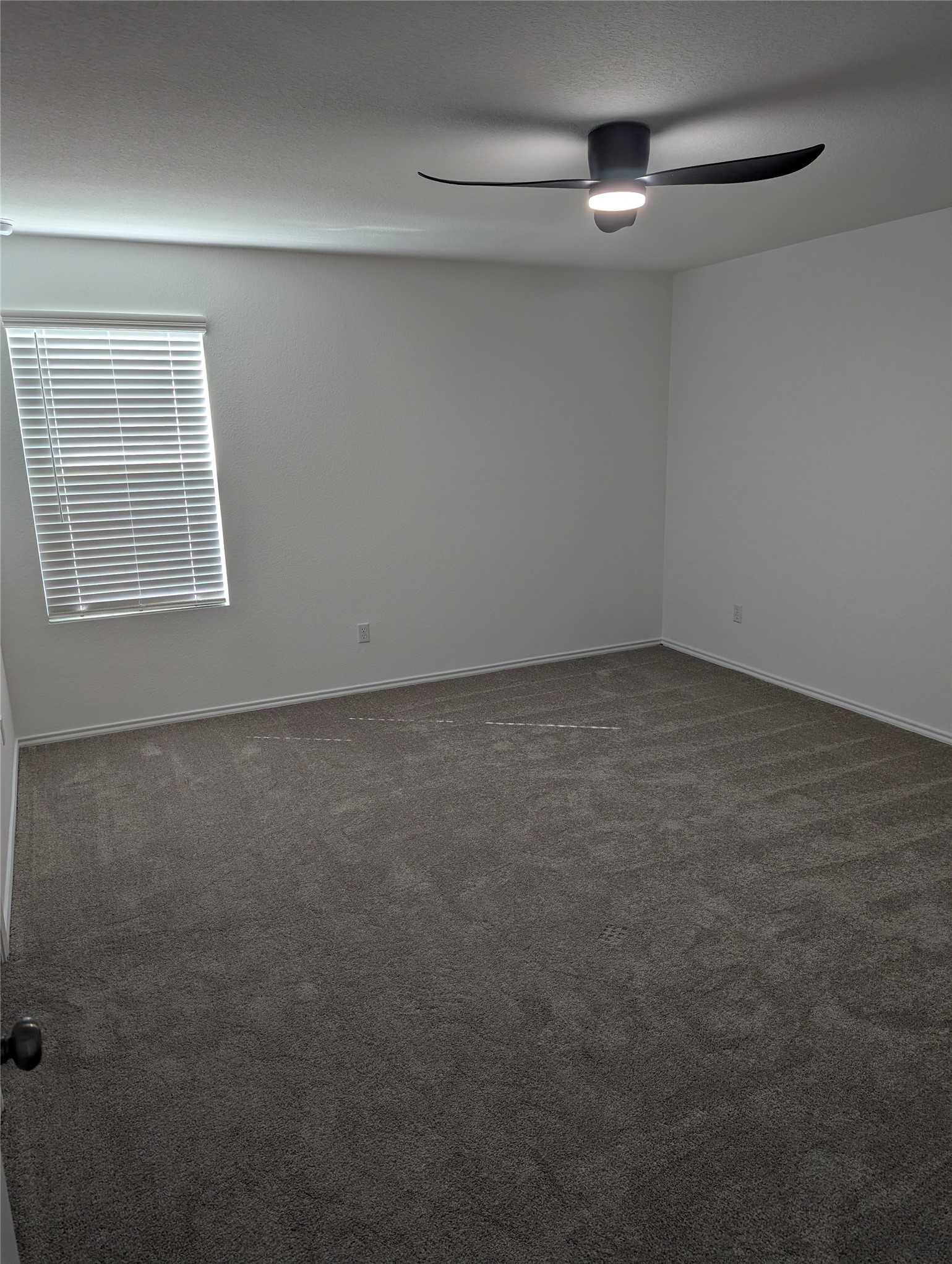 344 Marty Allen Loop Jarrell, TX 76537 - Photo 13 of 28