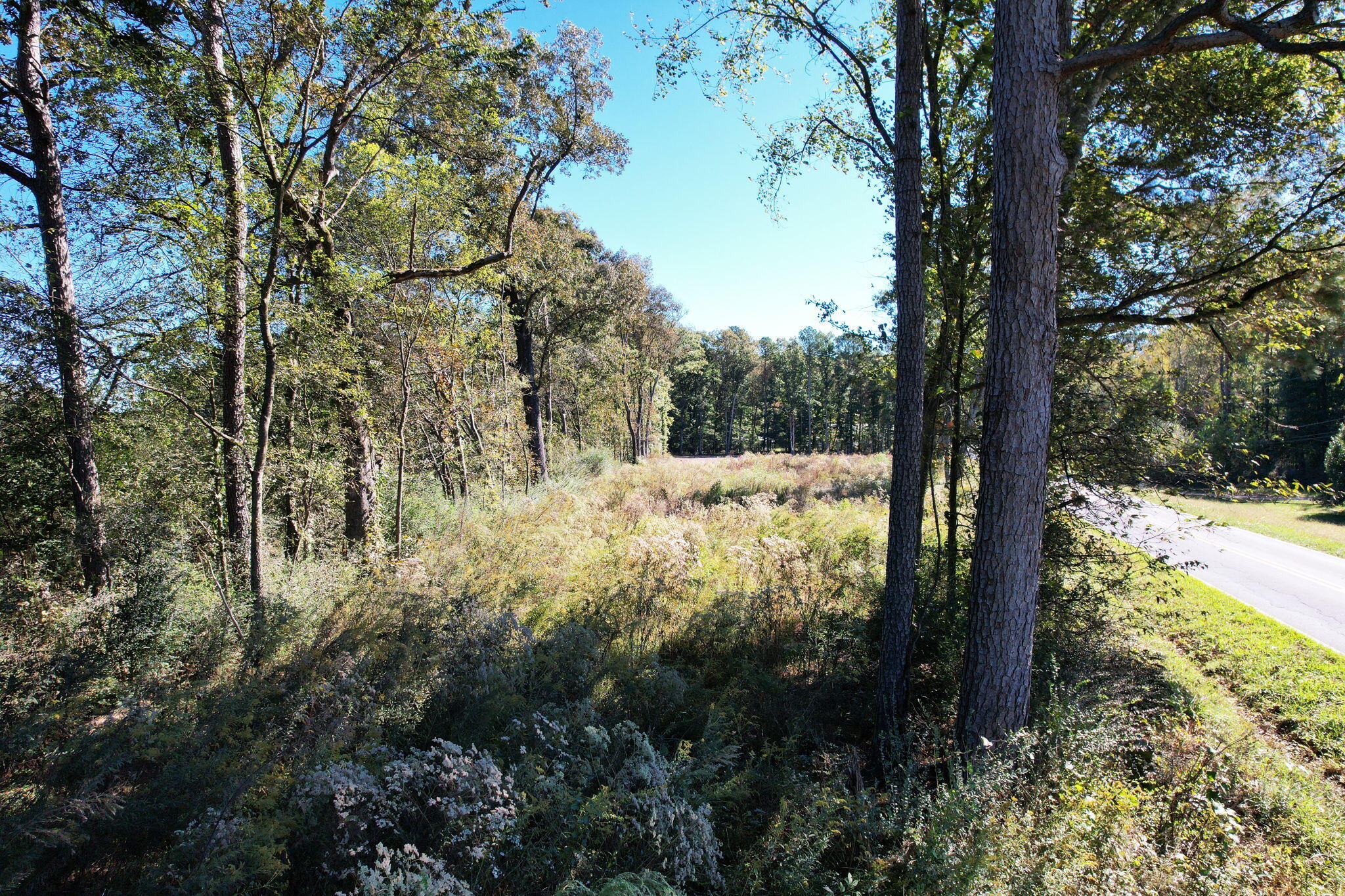 800 Hair Lake Road Summerville, GA 30747 - Photo 5 of 12 3-web-or-mls-DJI_0202
