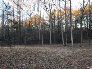675 Small Road Morris Chapel, TN 38361 - Photo 15 of 22 Gallery Image 15