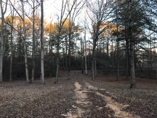 675 Small Road Morris Chapel, TN 38361 - Photo 16 of 22 Gallery Image 16