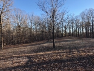 675 Small Road Morris Chapel, TN 38361 - Photo 17 of 22 Gallery Image 17