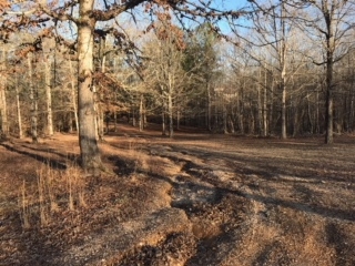675 Small Road Morris Chapel, TN 38361 - Photo 18 of 22 Gallery Image 18