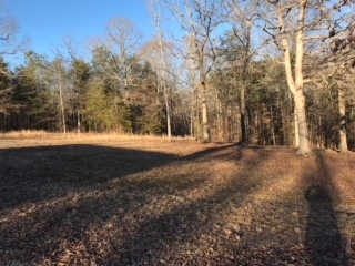 675 Small Road Morris Chapel, TN 38361 - Photo 19 of 22 Gallery Image 19