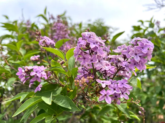 a view of an ocean beach