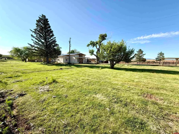 a swimming pool with lawn chairs and plants