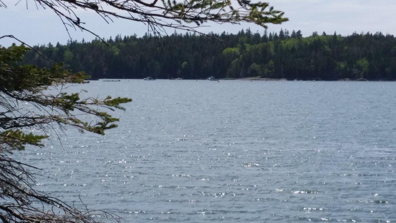 52 Raft Cove Road Lubec, ME 04652 - Photo 14 of 33 33960765_1953520101347285_14440074541898