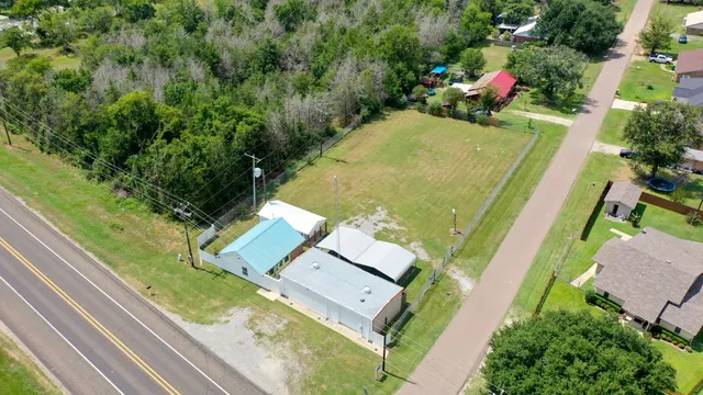 a view of a garden with plants