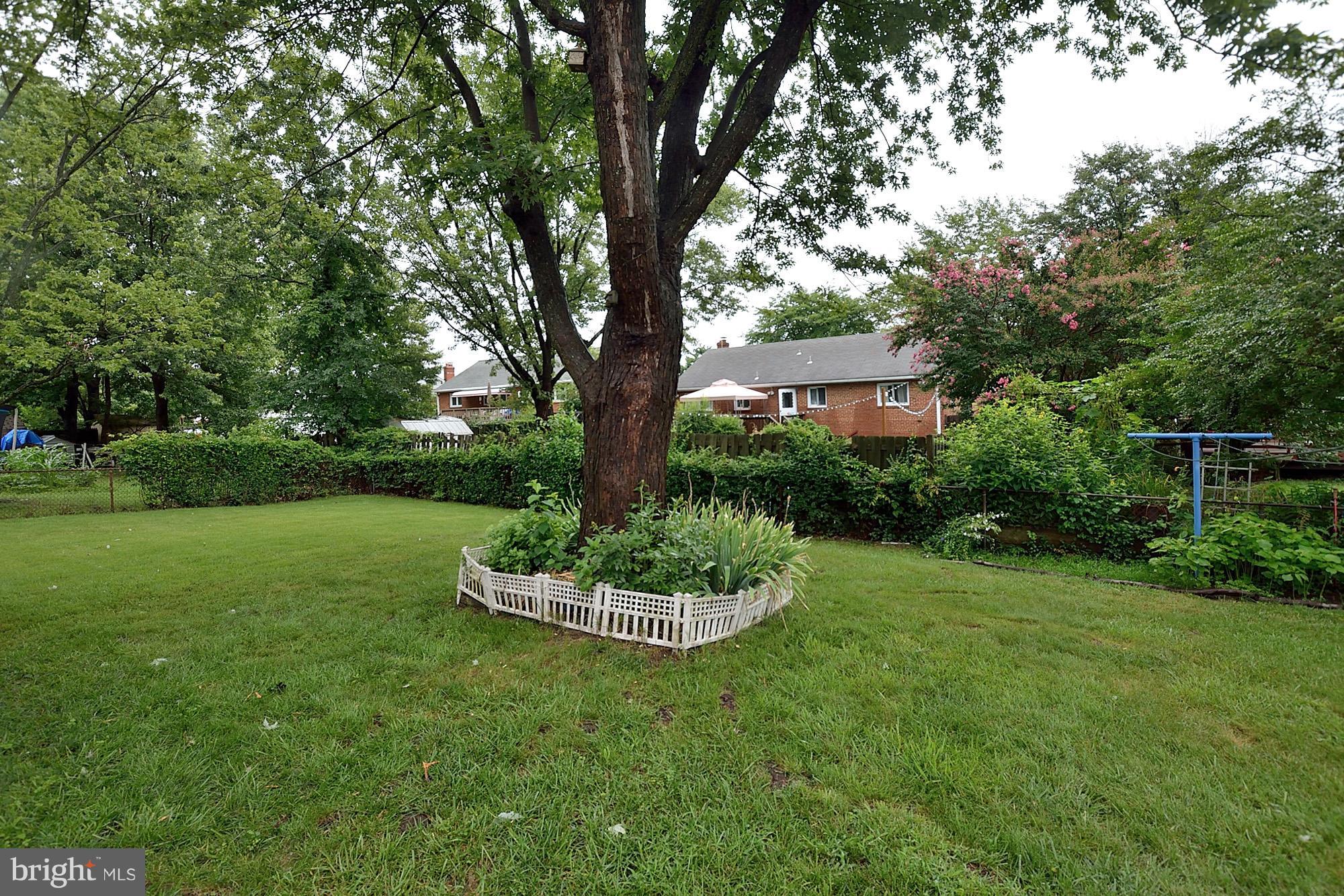 5913 Erving Street Springfield, VA 22150 - Photo 4 of 21 Exterior (Rear)